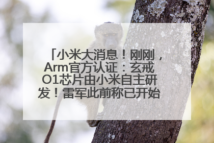 小米大消息！刚刚，Arm官方认证：玄戒O1芯片由小米自主研发！雷军此前称已开始大规模量产