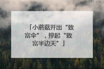 小蘑菇开出“致富伞”，撑起“致富半边天”
