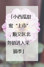 小西瓜甜蜜“上市”，顺义区北务镇进入采摘季