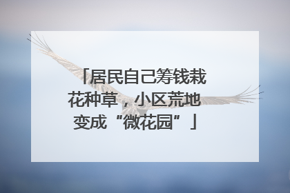 居民自己筹钱栽花种草，小区荒地变成“微花园”
