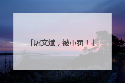 屠文斌，被重罚！