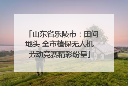 山东省乐陵市：田间地头 全市植保无人机劳动竞赛精彩纷呈