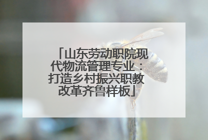 山东劳动职院现代物流管理专业：打造乡村振兴职教改革齐鲁样板