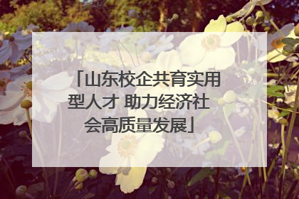 山东校企共育实用型人才 助力经济社会高质量发展