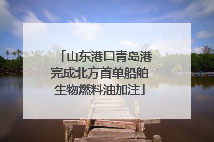 山东港口青岛港完成北方首单船舶生物燃料油加注