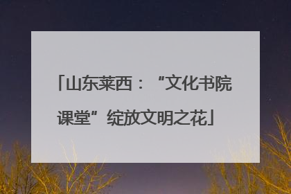 山东莱西：“文化书院课堂”绽放文明之花