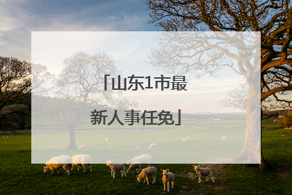 山东1市最新人事任免