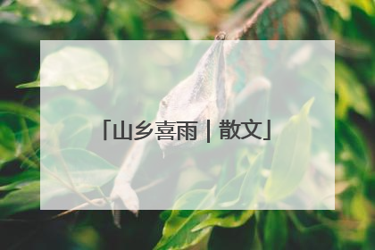 山乡喜雨｜散文
