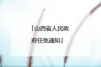 山西省人民政府任免通知