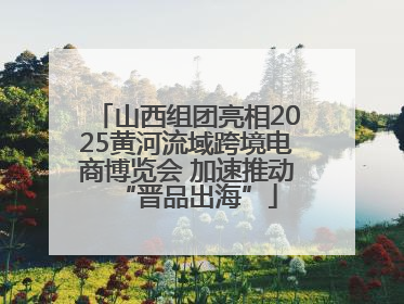 山西组团亮相2025黄河流域跨境电商博览会 加速推动“晋品出海”