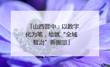山西晋中：以数字化为笔，绘就“全域智治”新图景