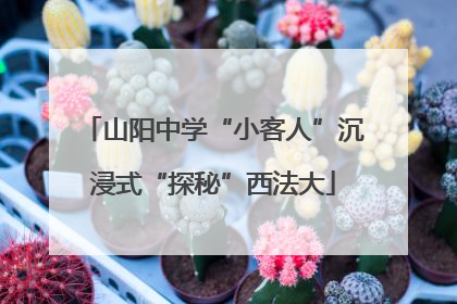 山阳中学“小客人”沉浸式“探秘”西法大