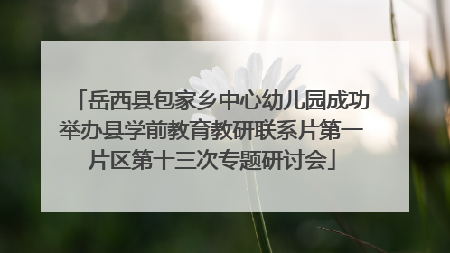 岳西县包家乡中心幼儿园成功举办县学前教育教研联系片第一片区第十三次专题研讨会