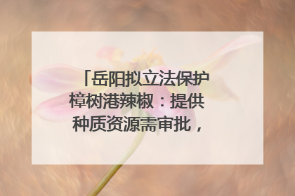 岳阳拟立法保护樟树港辣椒：提供种质资源需审批，违规最高罚5万