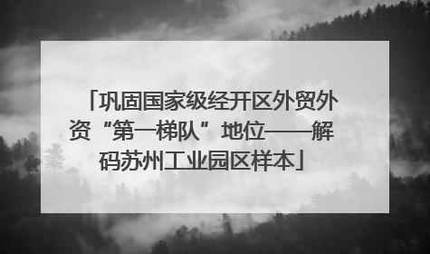 巩固国家级经开区外贸外资“第一梯队”地位——解码苏州工业园区样本