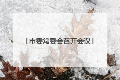 市委常委会召开会议