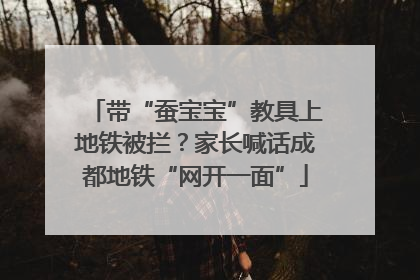 带“蚕宝宝”教具上地铁被拦？家长喊话成都地铁“网开一面”