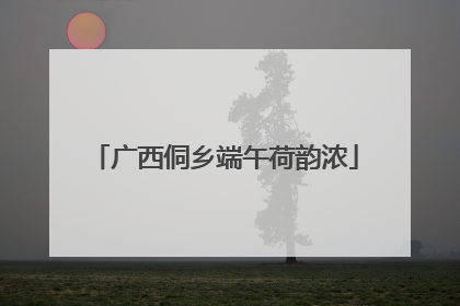 广西侗乡端午荷韵浓