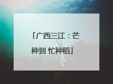 广西三江：芒种到 忙种稻