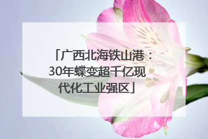 广西北海铁山港：30年蝶变超千亿现代化工业强区