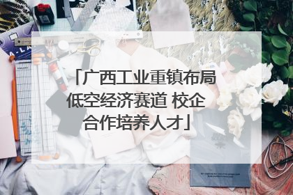 广西工业重镇布局低空经济赛道 校企合作培养人才