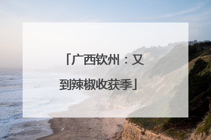 广西钦州：又到辣椒收获季