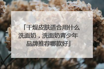 干燥皮肤适合用什么洗面奶，洗面奶青少年品牌推荐哪款好