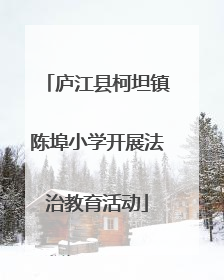 庐江县柯坦镇陈埠小学开展法治教育活动
