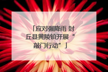 应对强降雨 封丘县黄陵镇开展“敲门行动”