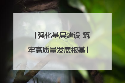 强化基层建设 筑牢高质量发展根基
