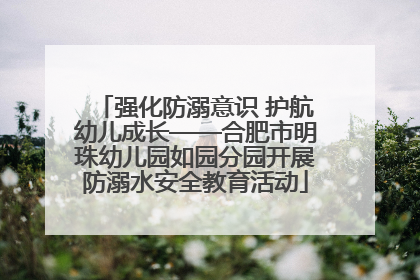 强化防溺意识 护航幼儿成长——合肥市明珠幼儿园如园分园开展防溺水安全教育活动