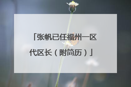 张帆已任福州一区代区长（附简历）