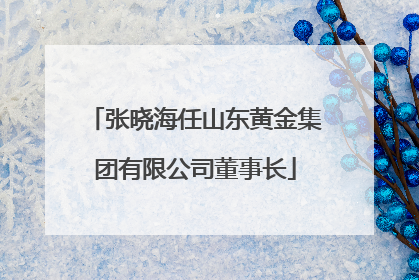 张晓海任山东黄金集团有限公司董事长