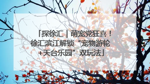 探徐汇｜萌宠党狂喜！徐汇滨江解锁“宠物游轮+天台乐园”双玩法