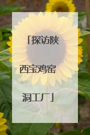 探访陕西宝鸡窑洞工厂