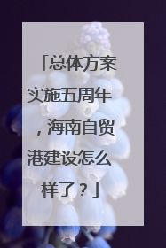 总体方案实施五周年，海南自贸港建设怎么样了？