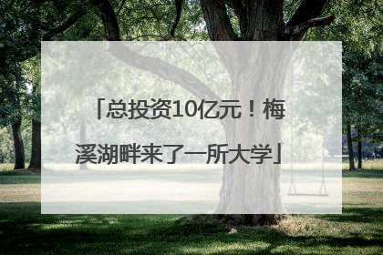 总投资10亿元！梅溪湖畔来了一所大学