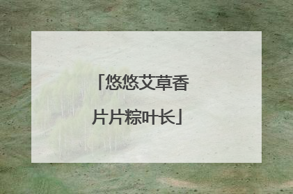 悠悠艾草香 片片粽叶长
