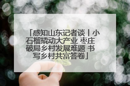 感知山东记者谈丨小石榴撬动大产业 枣庄破局乡村发展难题 书写乡村共富答卷