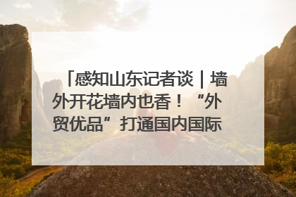 感知山东记者谈｜墙外开花墙内也香！“外贸优品”打通国内国际市场“旋转门”