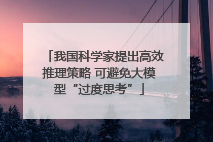 我国科学家提出高效推理策略 可避免大模型“过度思考”