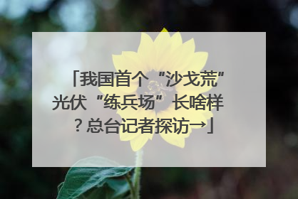 我国首个“沙戈荒”光伏“练兵场”长啥样？总台记者探访→