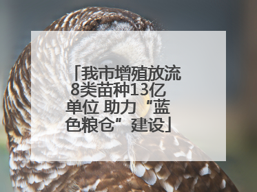 我市增殖放流8类苗种13亿单位 助力“蓝色粮仓”建设