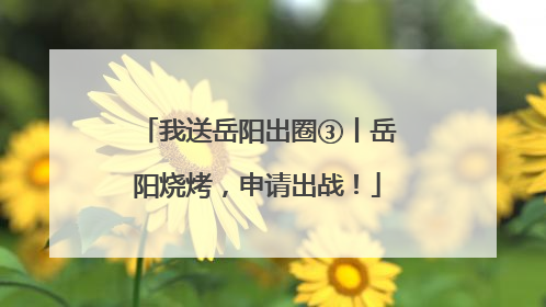 我送岳阳出圈③丨岳阳烧烤，申请出战！