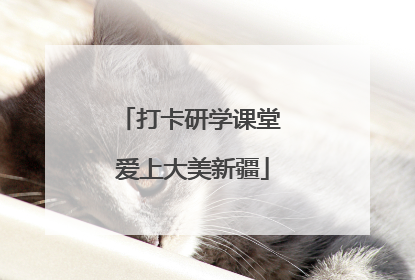 打卡研学课堂 爱上大美新疆