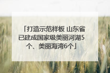 打造示范样板 山东省已建成国家级美丽河湖5个、美丽海湾6个