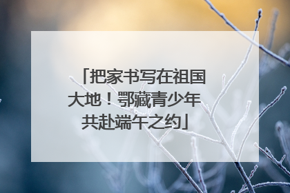 把家书写在祖国大地！鄂藏青少年共赴端午之约