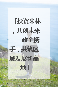 投资米林，共创未来——政企携手，共筑区域发展新高地
