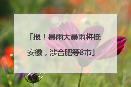 报！暴雨大暴雨将抵安徽，涉合肥等8市