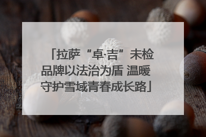 拉萨“卓·吉”未检品牌以法治为盾 温暖守护雪域青春成长路